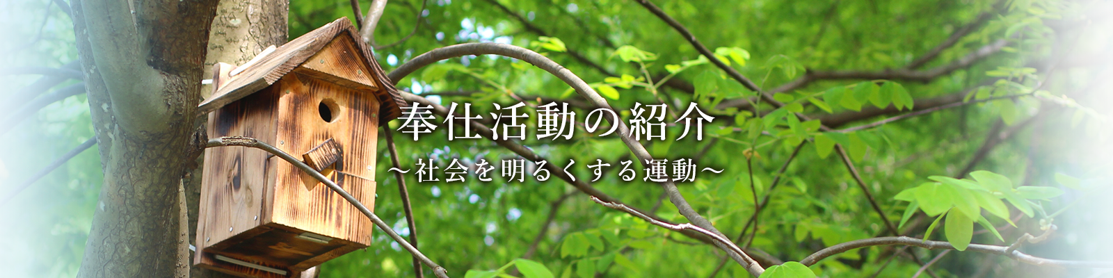 奉仕活動の紹介